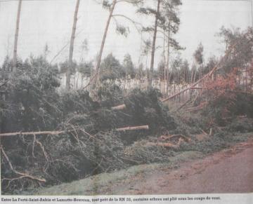 Arbres couchées RN20 entre La Ferté Saint Aubin et Lamotte-Beuvron - archives départementales